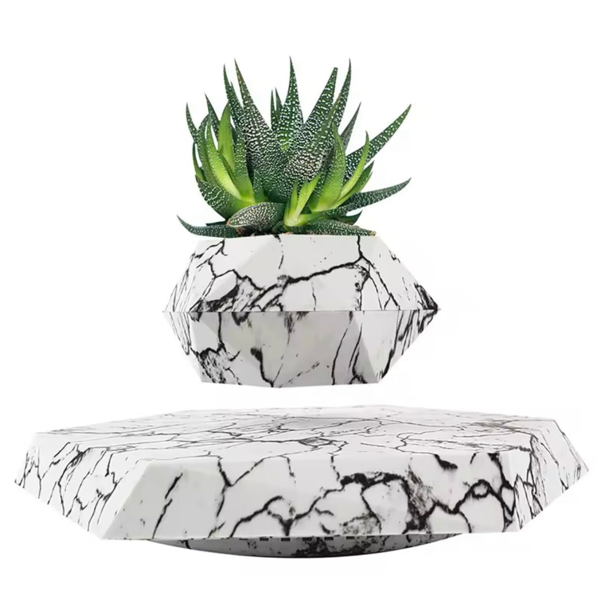 LEVITATING BONSAI POT