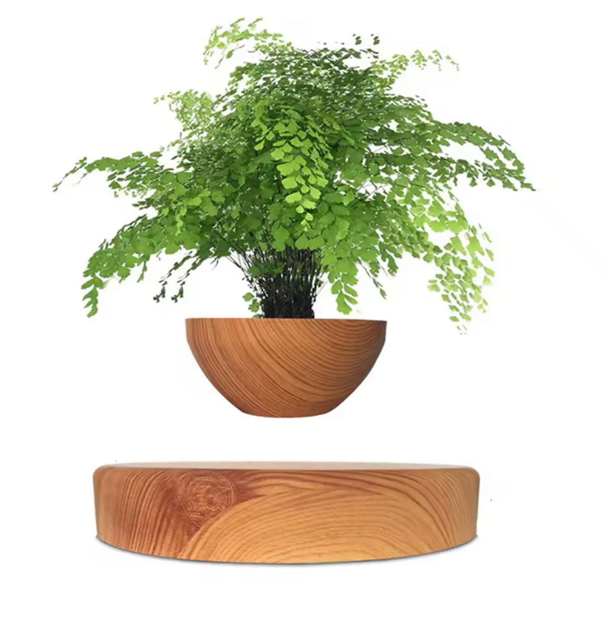 LEVITATING BONSAI POT