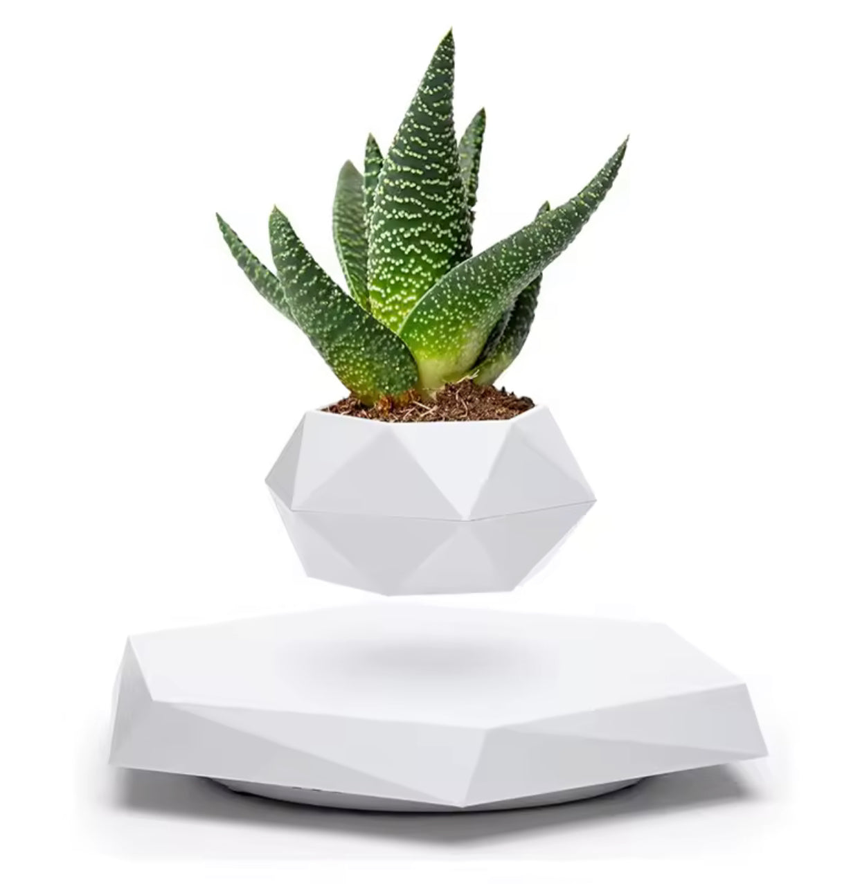 LEVITATING BONSAI POT
