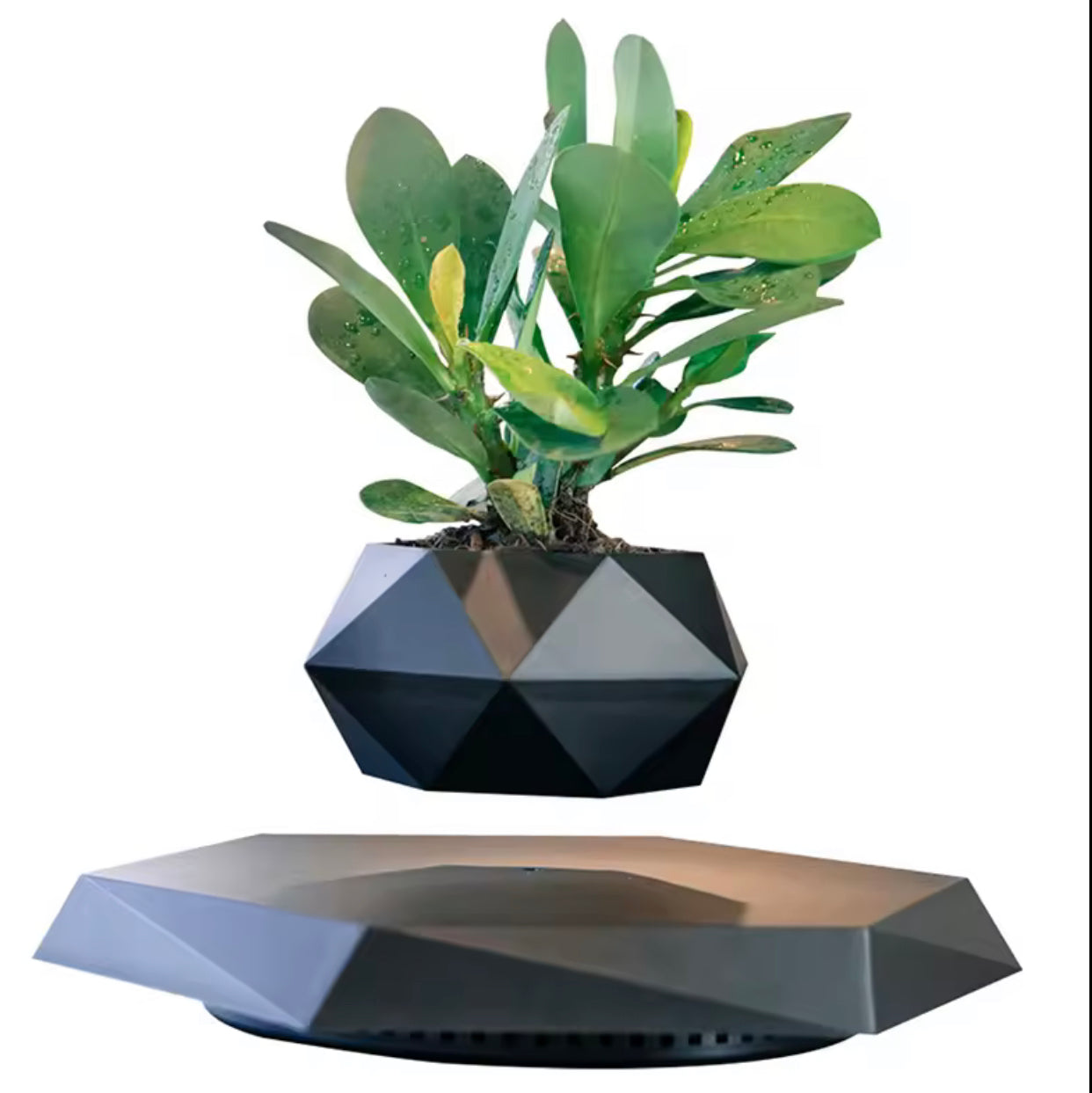 LEVITATING BONSAI POT
